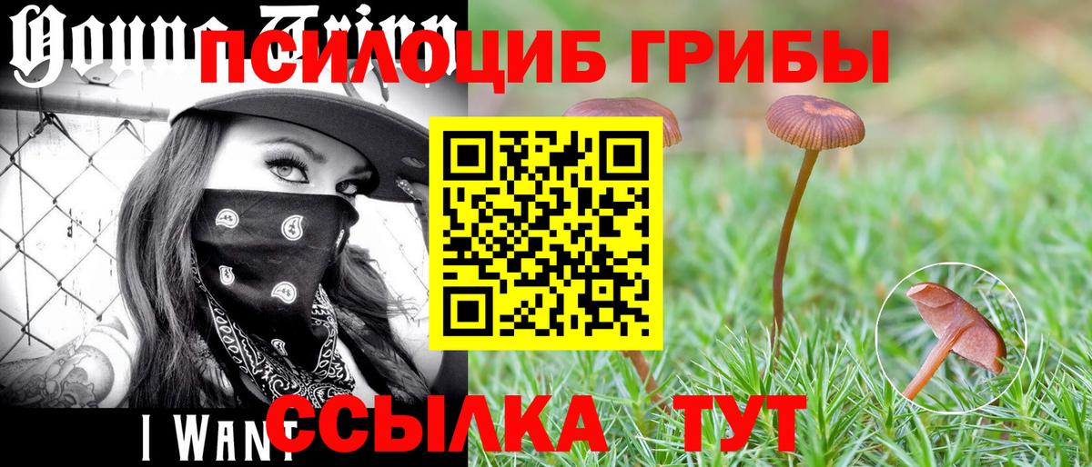 Псилоцибиновые грибы MAGIC MUSHROOMS Воркута