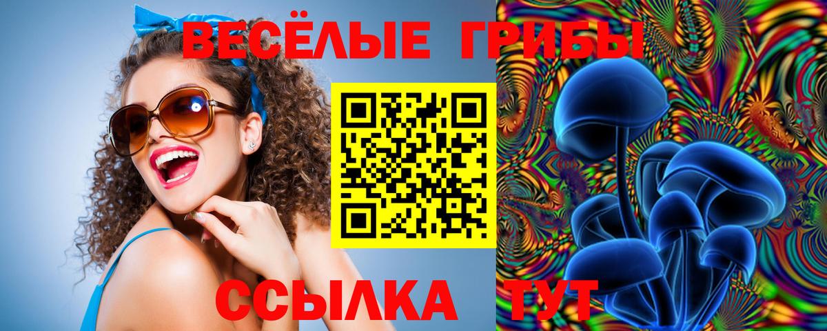 Галлюциногенные грибы GOLDEN TEACHER  Вход с VPN  Воркута 